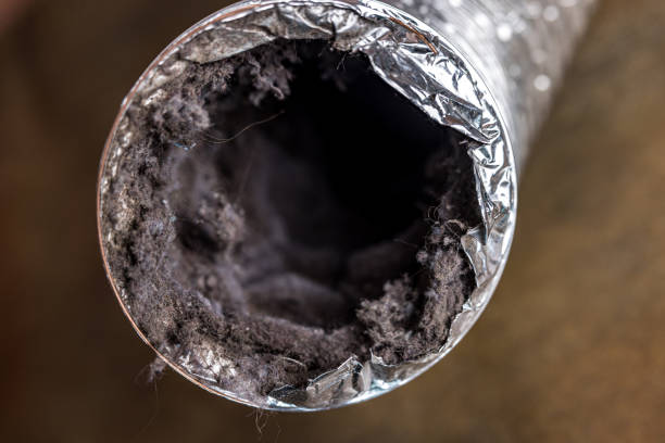 Best Affordable Air Duct Cleaning  in Clayton, CA